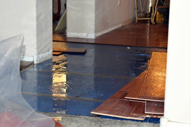Professional Basement Flood Cleanup technician working in Rockport, WA